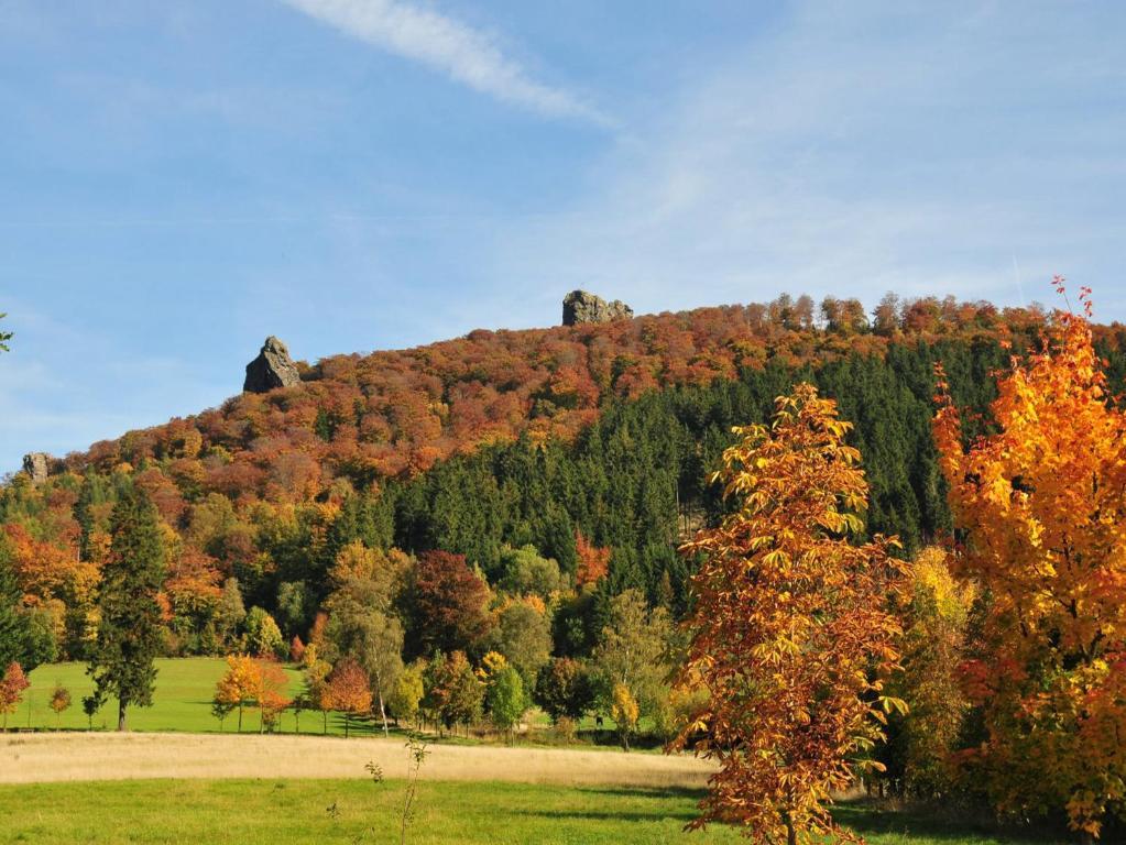 Ferienhaus Haus Am Medebach Olsberg Exteriér fotografie